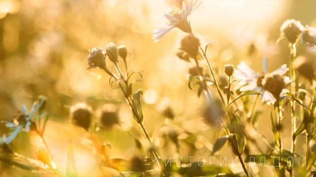 Егор, приведя на утренник сына, увидел копию своего мальчика. Тогда он даже не догадывался… смотреть онлайн