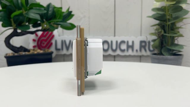 Wi-Fi Терморегулятор Welrok AZ для рамки LIVOLO, золотой, WAZ-C701TM-11 GD смотреть онлайн