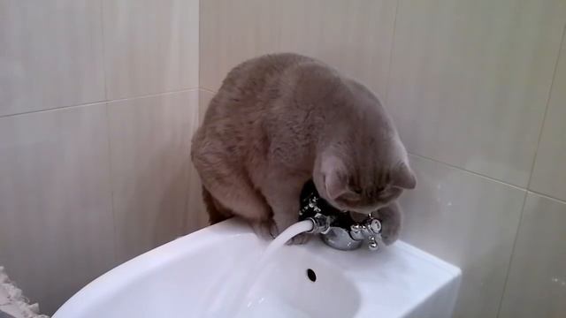 Британец открывает кран с водой