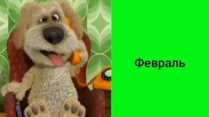 Бен оценивает месяцев это: