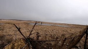 Камчатка. Охота на селезня и неожиданные для нас гуси.