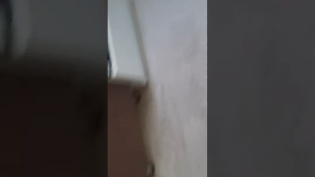 готовим #2 снова п#з#а смотреть онлайн