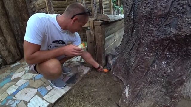 КРЫМ КРОКОДИЛЫ В СУДАКЕ! ЭКСТРИМ ШОУ КРОКОДИЛОВАЯ ФЕРМА. СЕРГЕЙ САДОВОЙ #СУДАК #КРЫМ #КРОКОДИЛЫ смотреть онлайн