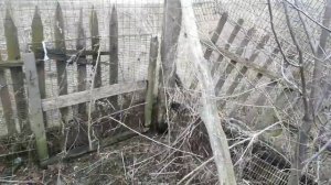 #огородный#VLOG#боремся с хмелем#ужасные корни#