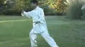 Taiji: Compact Tai Chi for Healing in Tai Chi Form 24