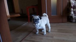 Робот пылесос и МОПС