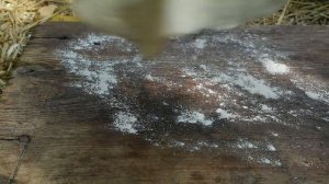 Вертута на сковороде. Проще не бывает!