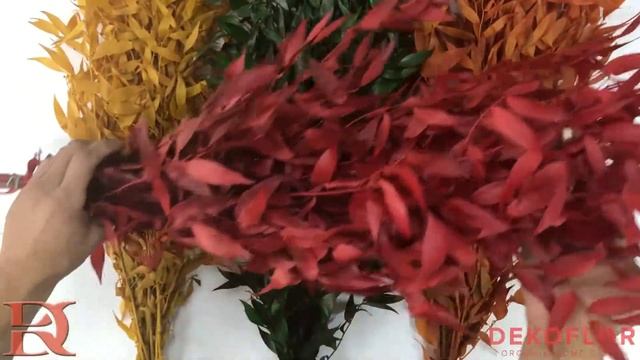 Стабилизированный Рускус красный смотреть онлайн