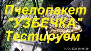 "Могучий Узбекский пчелопакет оправдал покупку в разы".Как правильно собирать гнездо пчел в зиму.