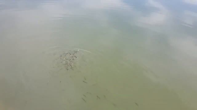 20140414 131439 смотреть онлайн