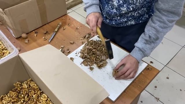 На каком орехе можно больше заработать - за 90 или за 130 рублей? Взяли Тонну ореха на переработку. смотреть онлайн