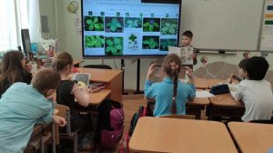 Окр.мир 3 класс " Опасности в природе"