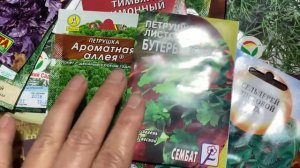 Что посадить из зелени на даче.