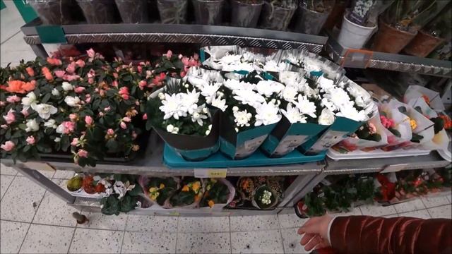 7. Магазин подарочных упаковок, всё для праздника. Ненавижу тебя меньше всех. Кафе в нашей деревне. смотреть онлайн