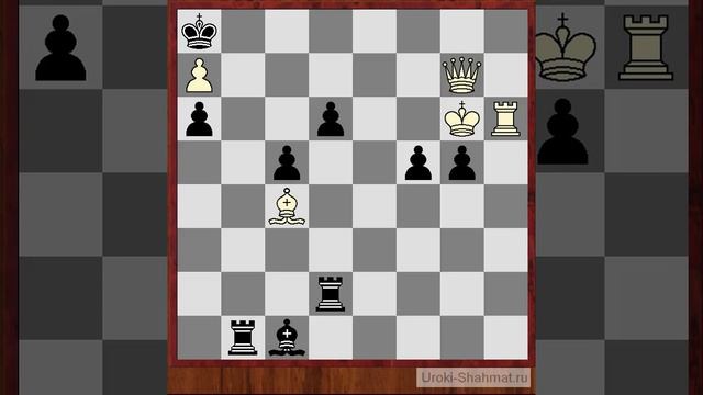 Уроки шахмат-Шахматные задачи Мат в 4 хода,мат в 5 ходов смотреть онлайн