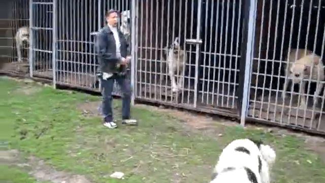 П-к "Рамзес" май 2010г. смотреть онлайн