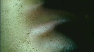 Запрещенные Барабанщики  "Куба Рядом" HD