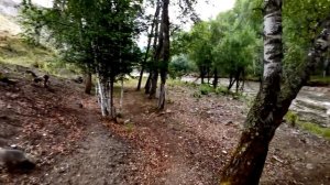 Таинственные места и аномальные зоны Алтая, которых нет на картах. Загадочные явления на Алтае.