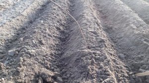 Обзор наращивания картошки, подготовка огорода к новому сезону.