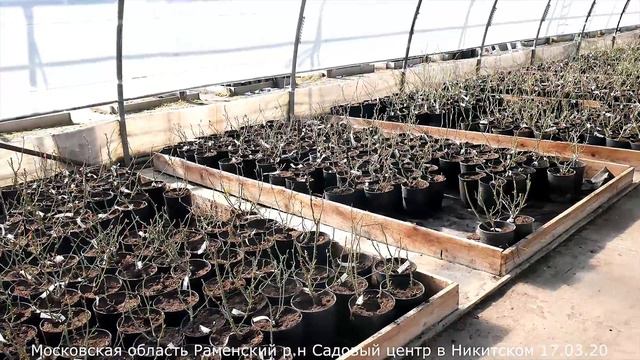 Садовый центр в Никитском ОТКРЫТ! с 17 марта 2020 г.