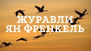 ЖУРАВЛИ. Ян Френкель. Flake Ice Piano/2024