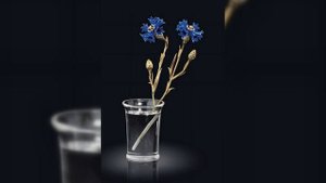 Драгоценные цветы Карла Фаберже (слайд-шоу)