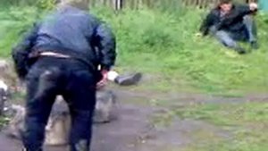 Прикол Голивуд Бобра