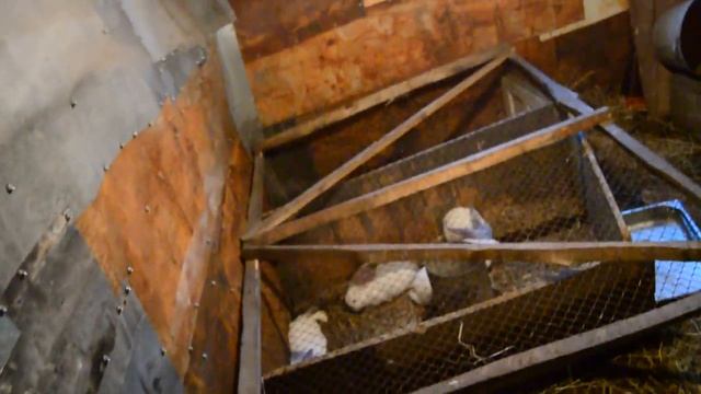 ПОСЛЕДНИЕ НОВОСТИ , УТЕПЛЕНИЕ САРАЯ И ВРЕМЕННЫЙ ОБОГРЕВ , ЗАБОЙ КРОЛИКОВ. смотреть онлайн