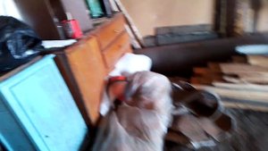 Промывает ли раскаксовка маслосъемные кольца двигатель mr20de