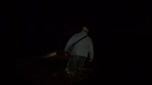 НАЛИМ АТАКУЕТ МЕЛКОВОДЬЕ | ОСЕННЯЯ ЛОВЛЯ НАЛИМА НА ДОНКИ