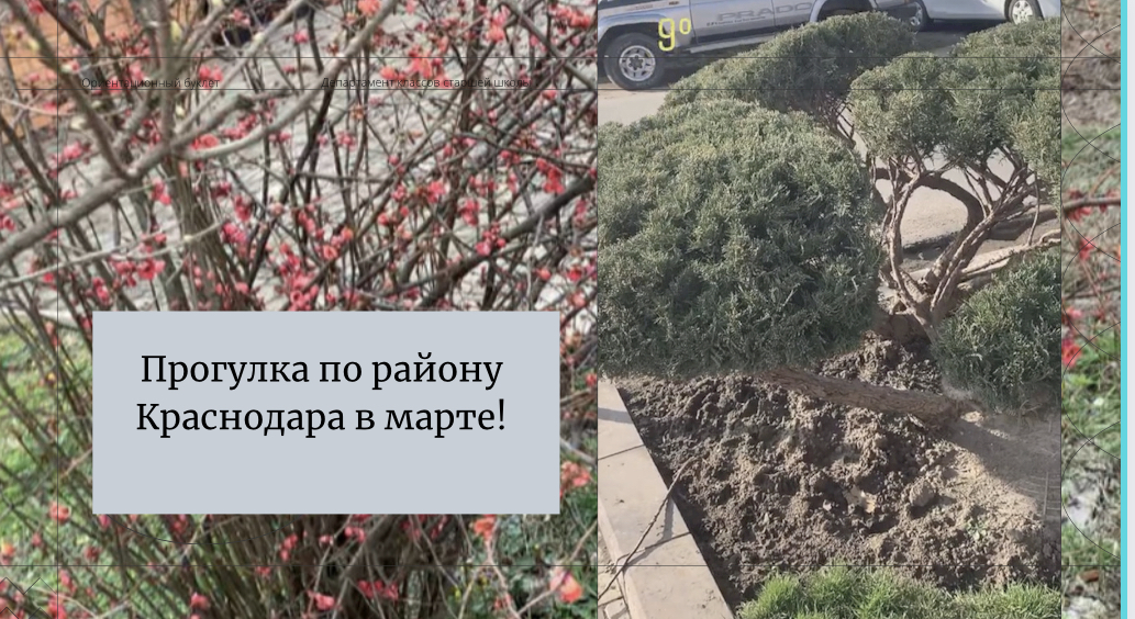 Прогулка по району Краснодара.