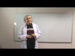 Надорганизм человека  (А.Н. Алименко)