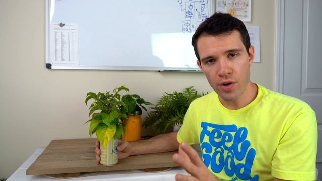 Pepper Plant Leaves Turning Yellow? Common Causes  Solutions - Pepper Geek