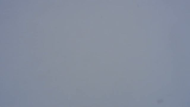 Альпика-сервис. Красная поляна 7.02.2020