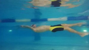 Тихонов Р. Техника плавания на спине. Плавание Мастерс