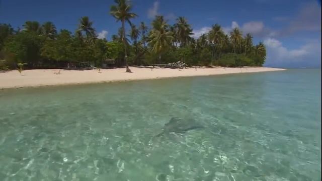 Релакс Музыка Море смотреть онлайн