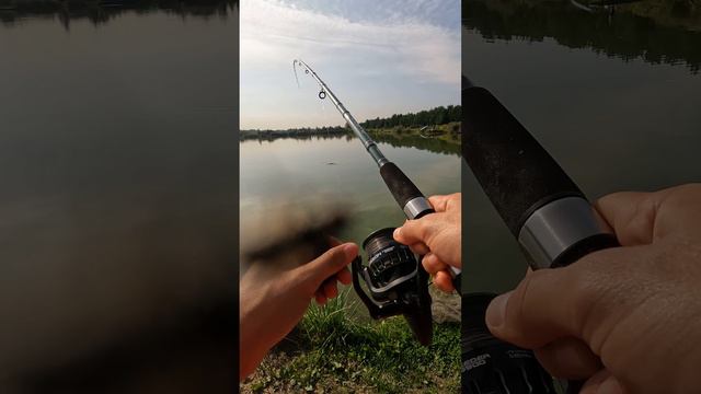 Вот это улов! Карп на фидер🎣🐟