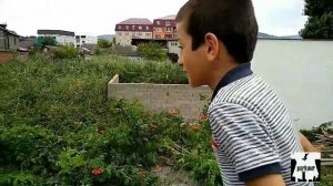 Паркур дети