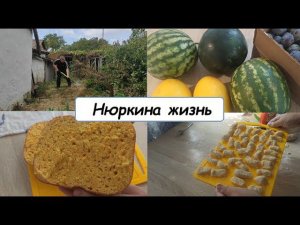 Один день из жизни //Нюркина жизнь