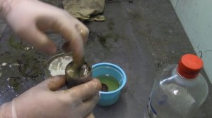 Как? и чем? Я мыл гидрокомпенсаторы BMW(m62b44).