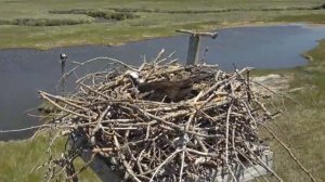 Почему нельзя здороваться через порог и даже наступать на него: объяснение примет