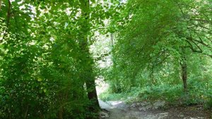 Бог Прометей и Орлиные скалы - не легкая, но красивая экскурсия в Сочи.