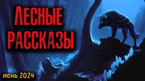 ЛЕСНЫЕ РАССКАЗЫ | Страшные истории