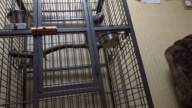 Жако Жора первые кадры смотреть онлайн