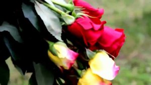 Сагитов Ирек поет о малой родине д.Мустафино Аургазинского района.