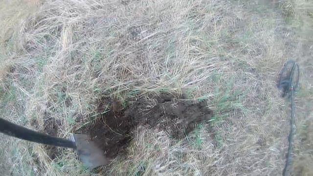 Неожиданно много металла коп в посадке. Мой рекорд чермета весной 2020 года.