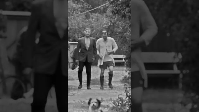 Сваты смотреть онлайн