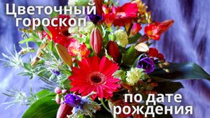 Цветочный гороскоп в стихах по дате рождения!