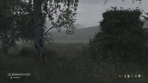 DayZ Livonia ХОЗЯЕВА БАЗЫ ПРИЕХАЛИ ВО ВРЕМЯ НАШЕГО РЕЙДА!