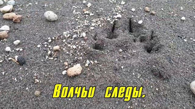 Второй день мотопутешествия на вулкан Ксудач. 10 сентября 2022г.